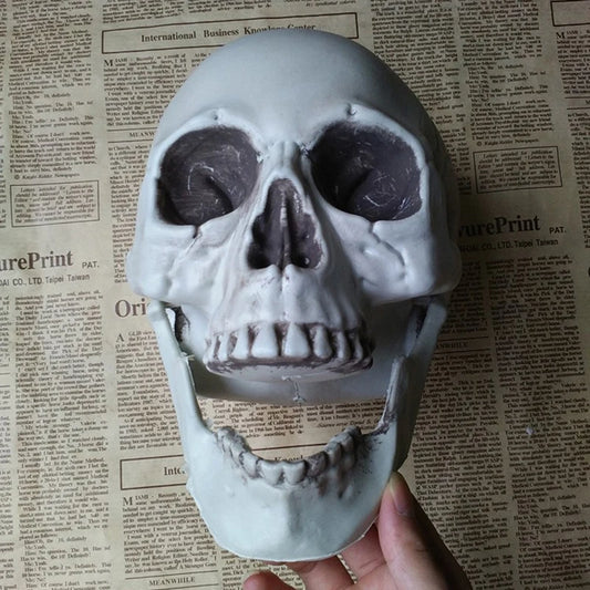 “Realistic Horror Skull” – Halloween Skeleton Head Decoration