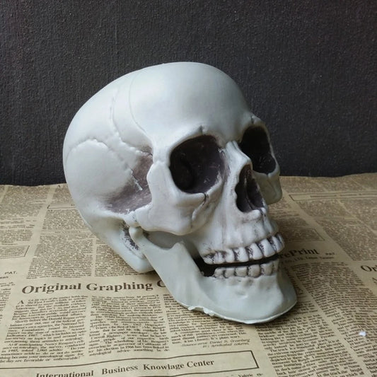“Realistic Horror Skull” – Halloween Skeleton Head Decoration
