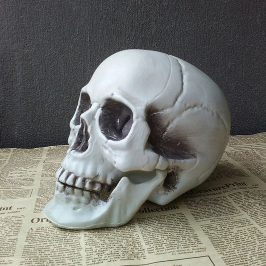 “Realistic Horror Skull” – Halloween Skeleton Head Decoration