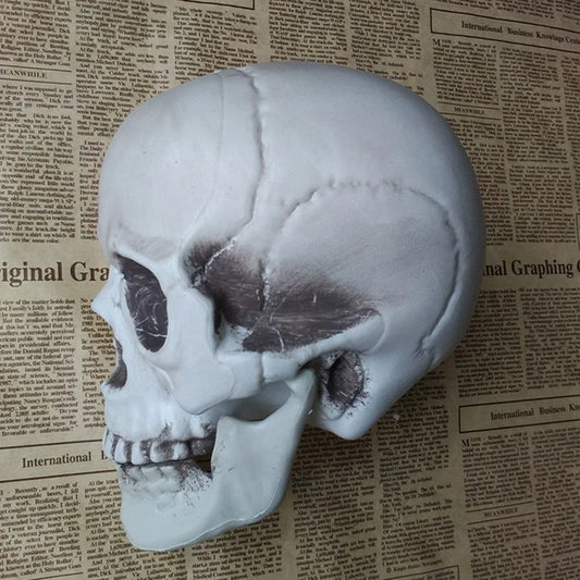 “Realistic Horror Skull” – Halloween Skeleton Head Decoration