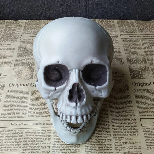 “Realistic Horror Skull” – Halloween Skeleton Head Decoration