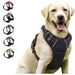 🐕🛍️ PawPro™ Complete Dog Gear Set