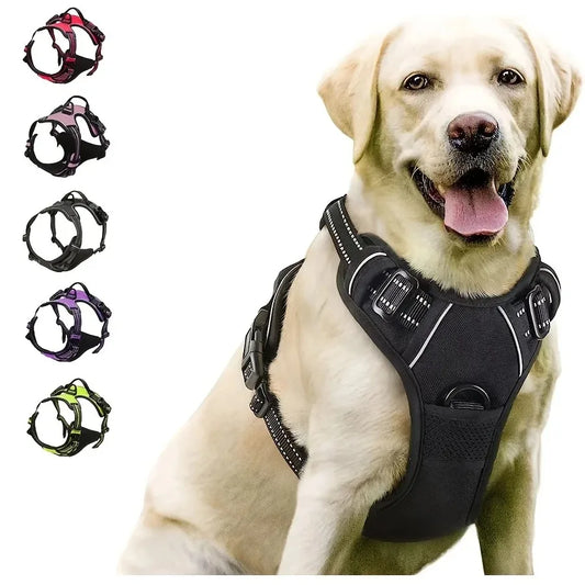🐕🛍️ PawPro™ Complete Dog Gear Set