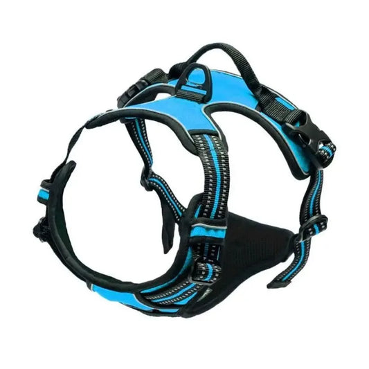 🐕🛍️ PawPro™ Complete Dog Gear Set