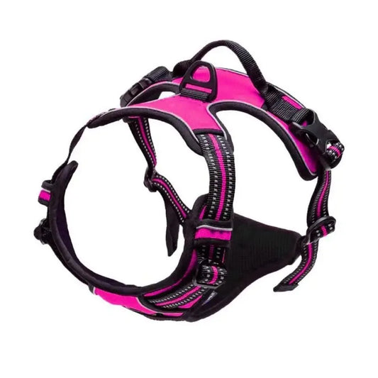 🐕🛍️ PawPro™ Complete Dog Gear Set