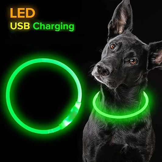 🌟🐕 GlowPaw™ LED Dog Collar
