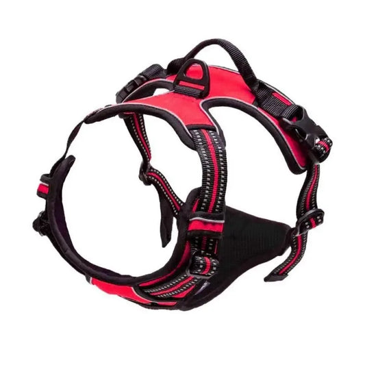 🐕🛍️ PawPro™ Complete Dog Gear Set