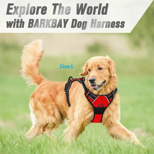 🐕🛍️ PawPro™ Complete Dog Gear Set