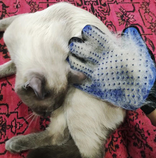 🐾🧤 FurBuddy™ Hair Removal Gloves