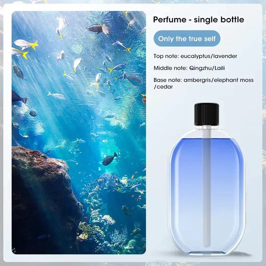 Automatic Aroma Diffuser & Air Freshener – Essential Oil Nebulizer