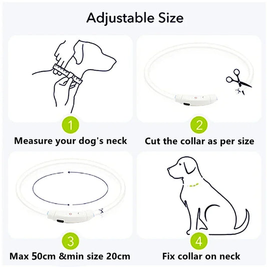 🌟🐕 GlowPaw™ LED Dog Collar