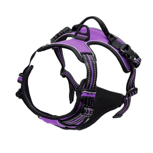 🐕🛍️ PawPro™ Complete Dog Gear Set