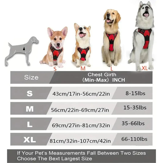 🐕🛍️ PawPro™ Complete Dog Gear Set