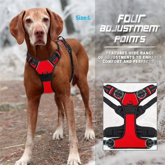 🐕🛍️ PawPro™ Complete Dog Gear Set