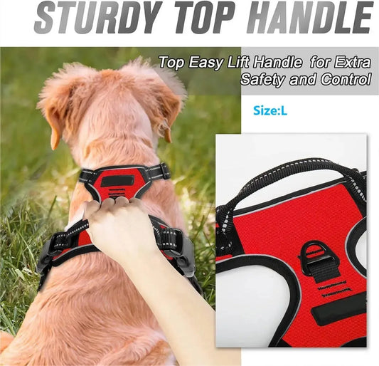 🐕🛍️ PawPro™ Complete Dog Gear Set